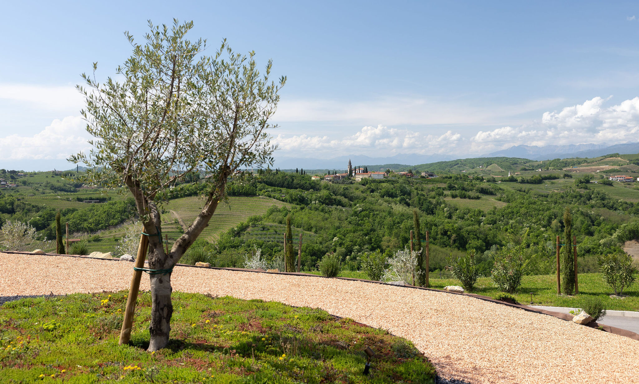 5 razlogov, da obiščete Kras in slovensko “Toskano”