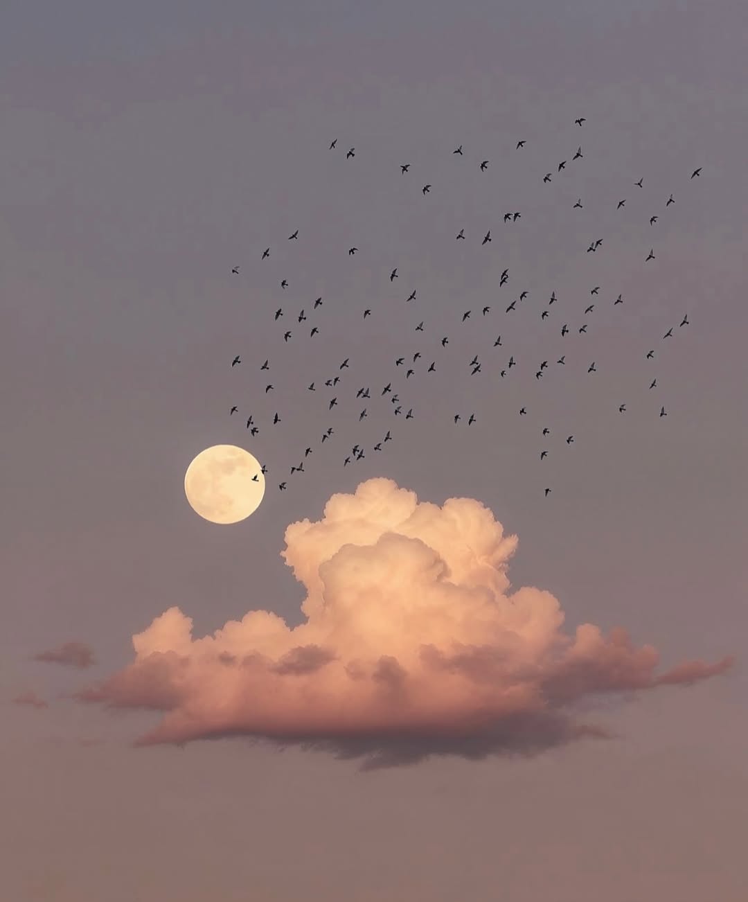 polna luna