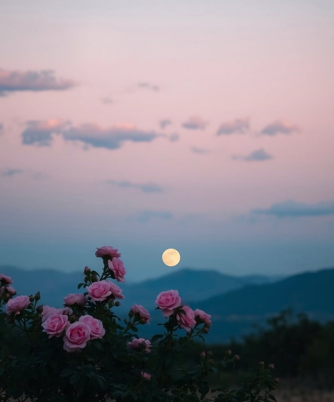 polna luna