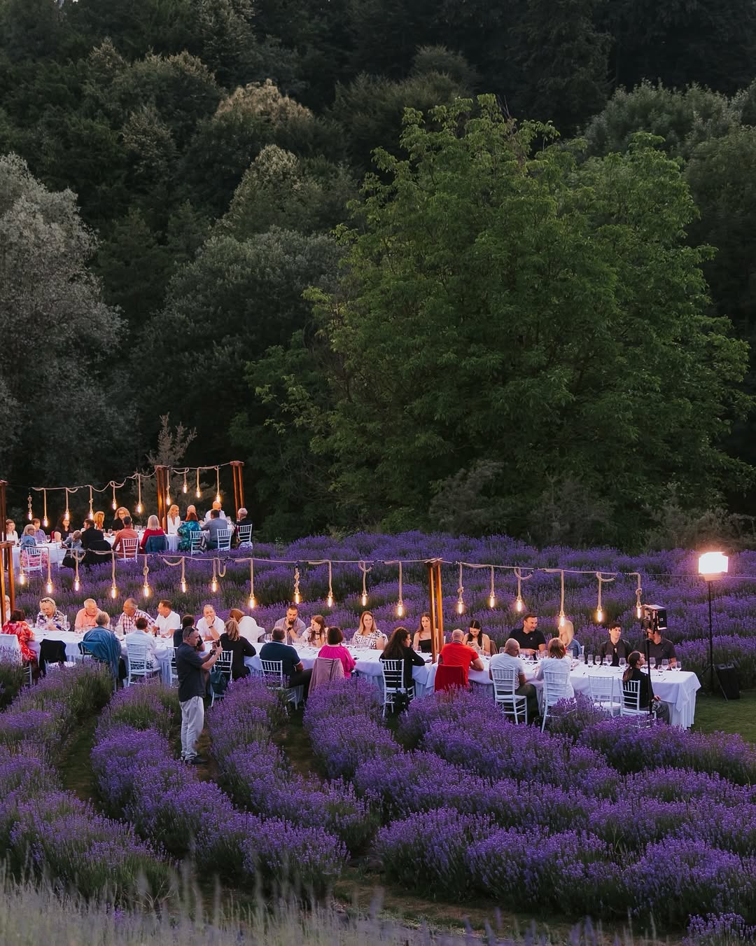 Štajerska sivka resort