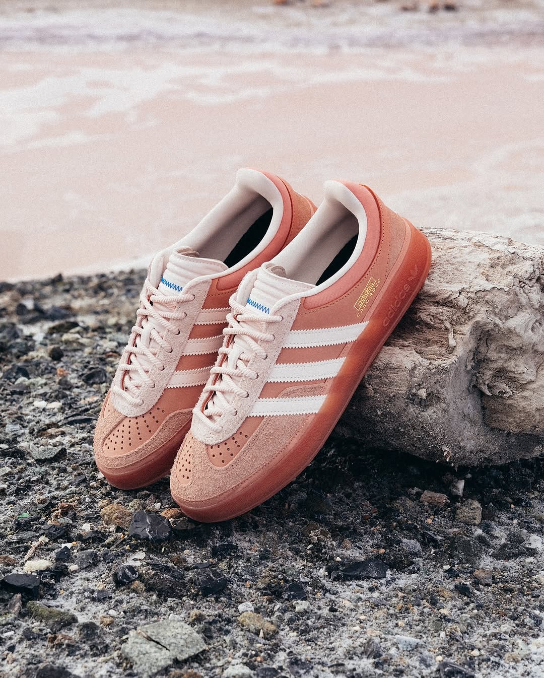 novi model adidas Gazelle čevljev