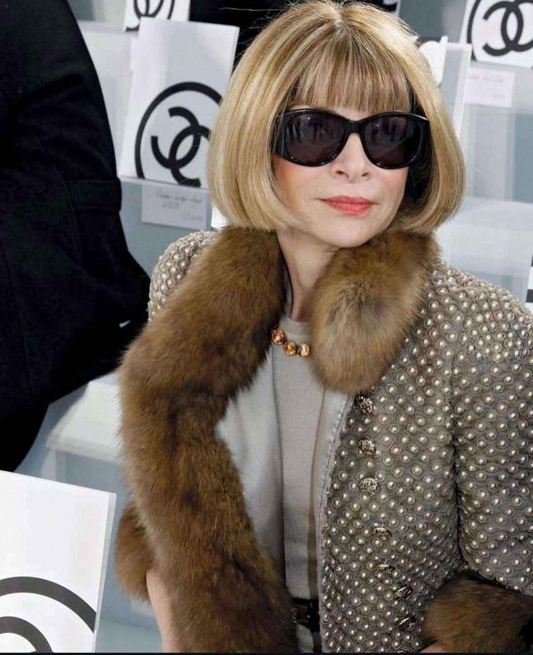 urednica Vogua Anna Wintour
