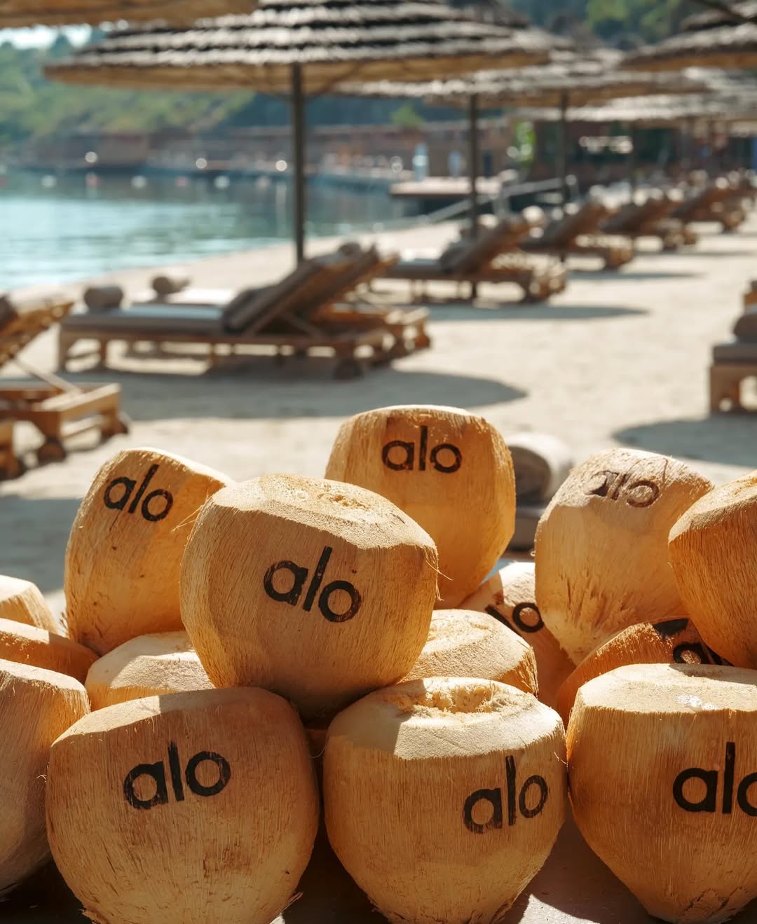 Alo Beach Club, Bodrum