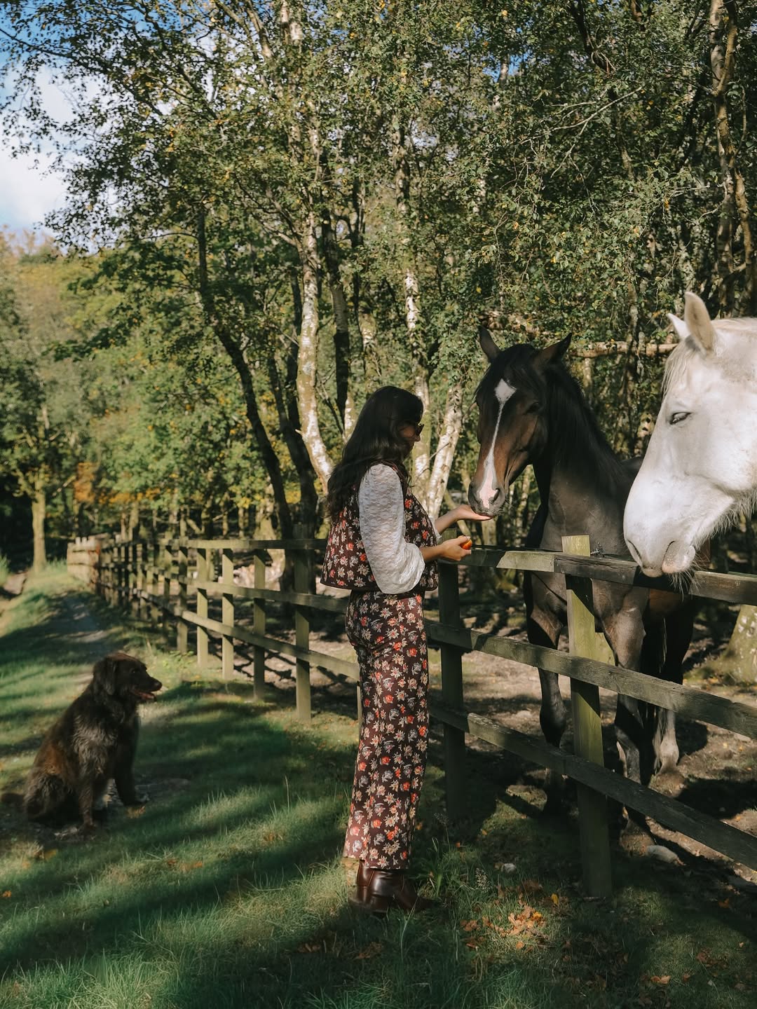 okusno in domače opremljen dom