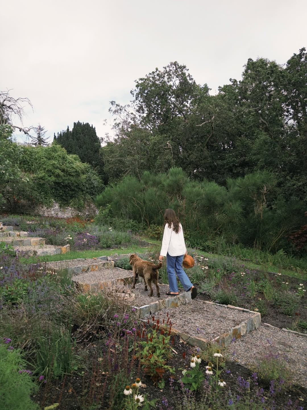 okusno in domače opremljen dom