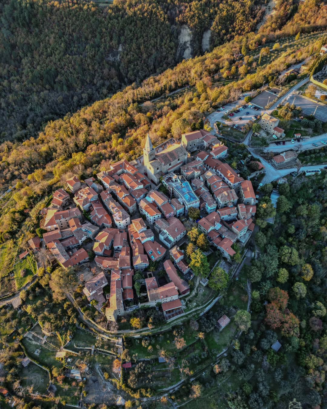 istrska vasica