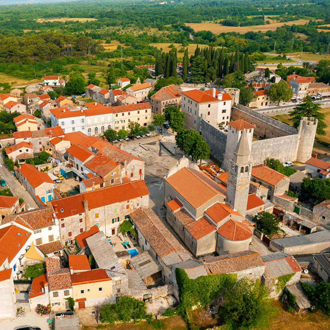 istrska vasica
