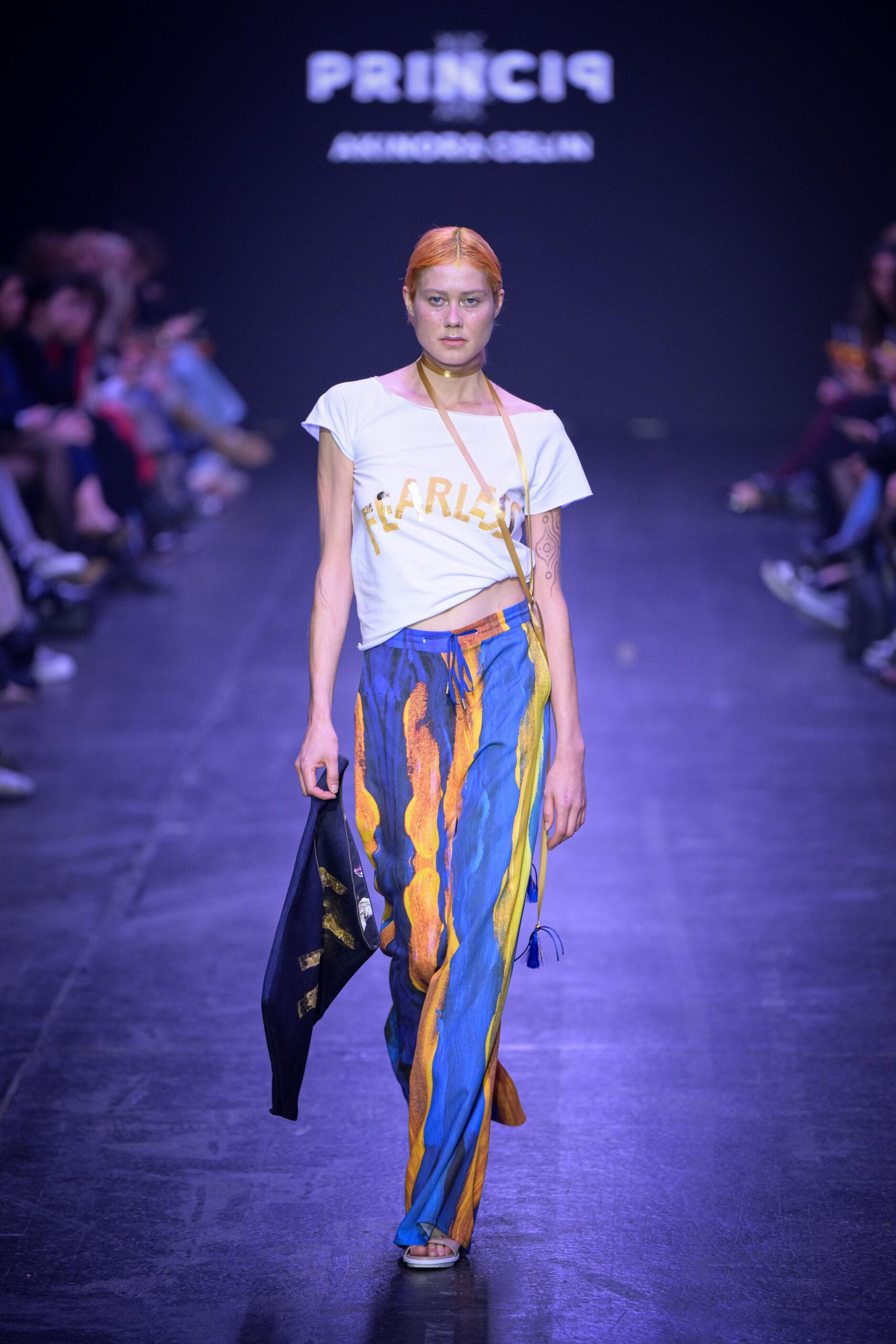 LJFW, Princip, pista, kolekcija