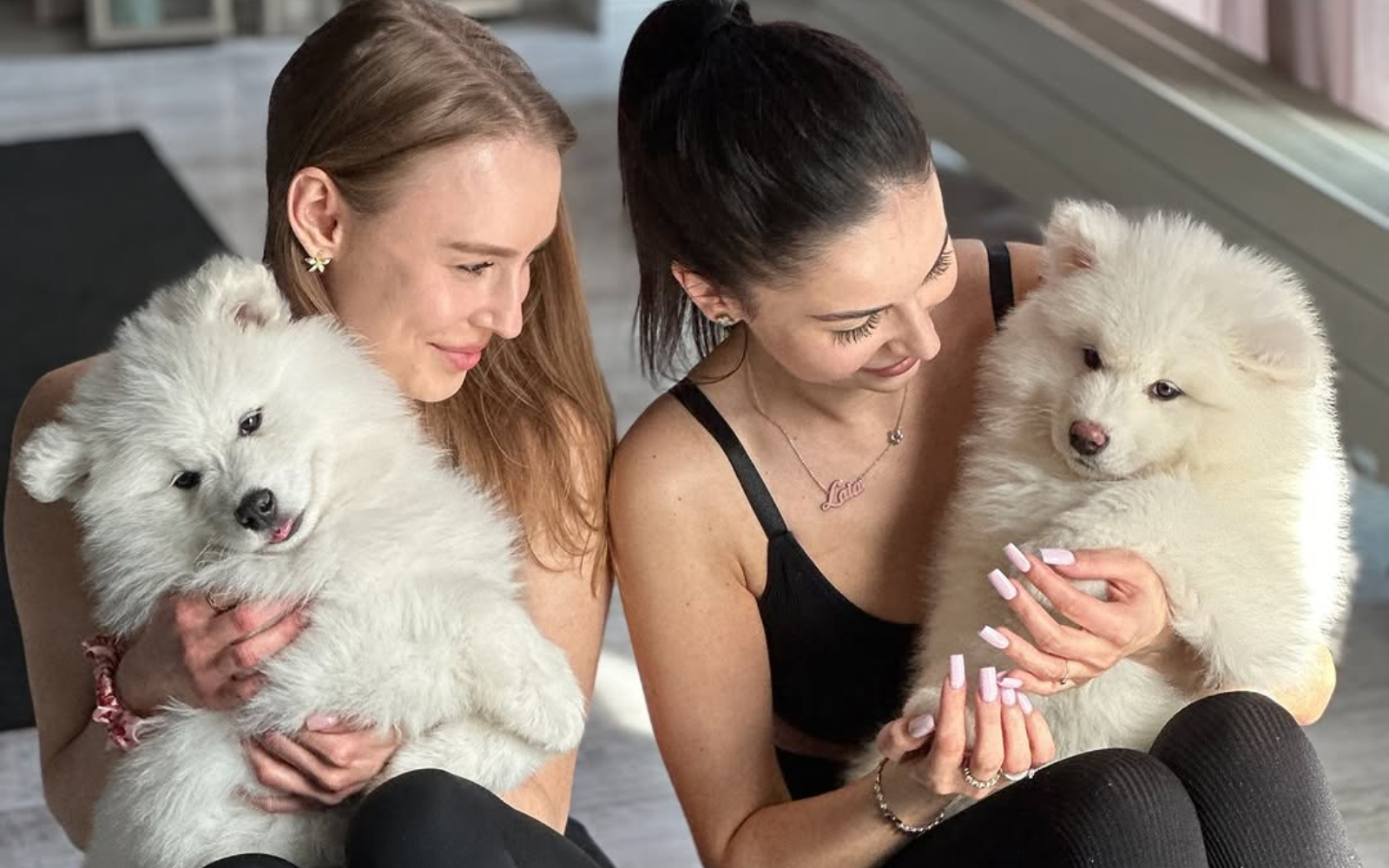 Joga s pasjimi mladički? Ja, prosim!