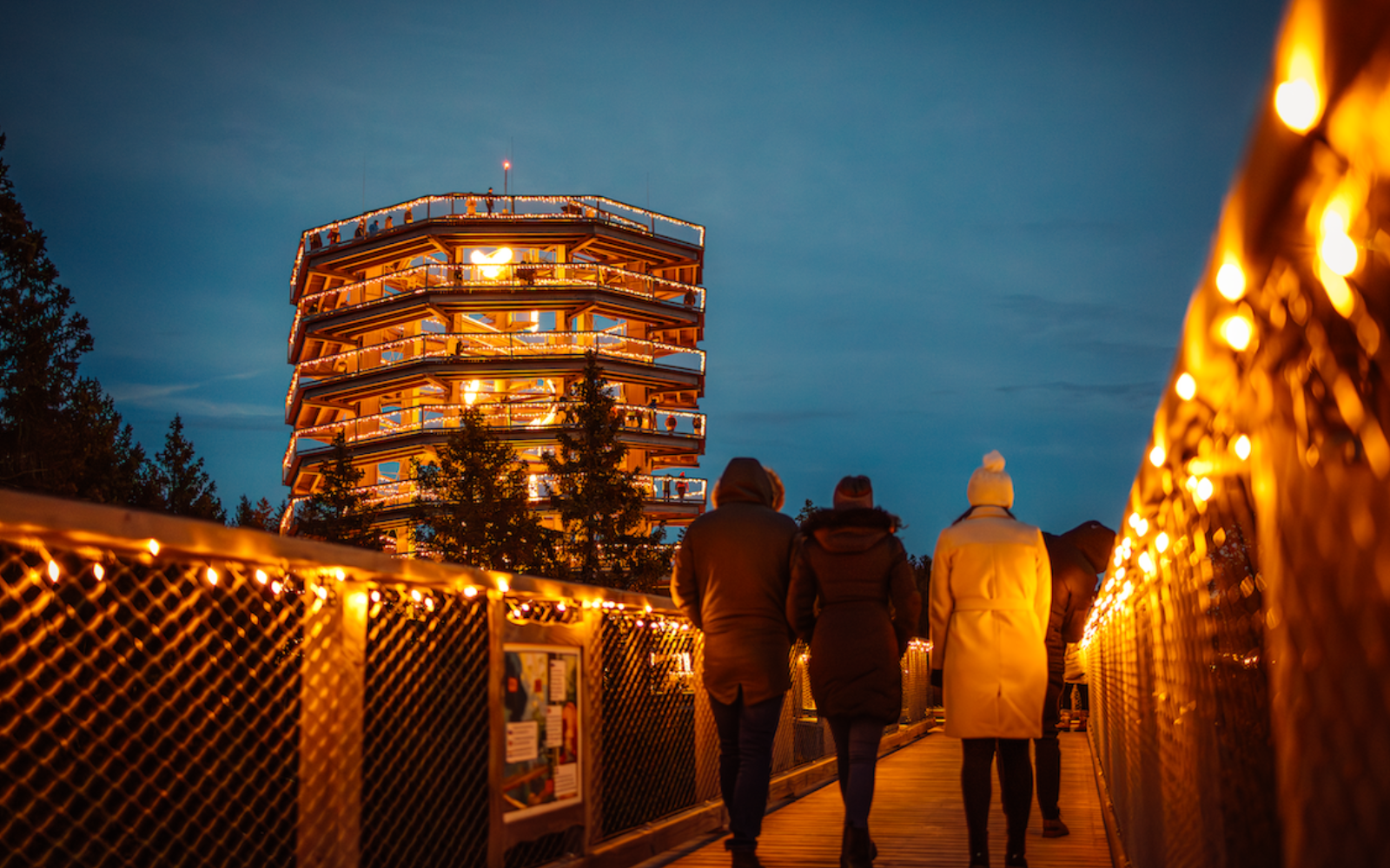 To je edinstvena razstava, ki se skriva med krošnjami dreves