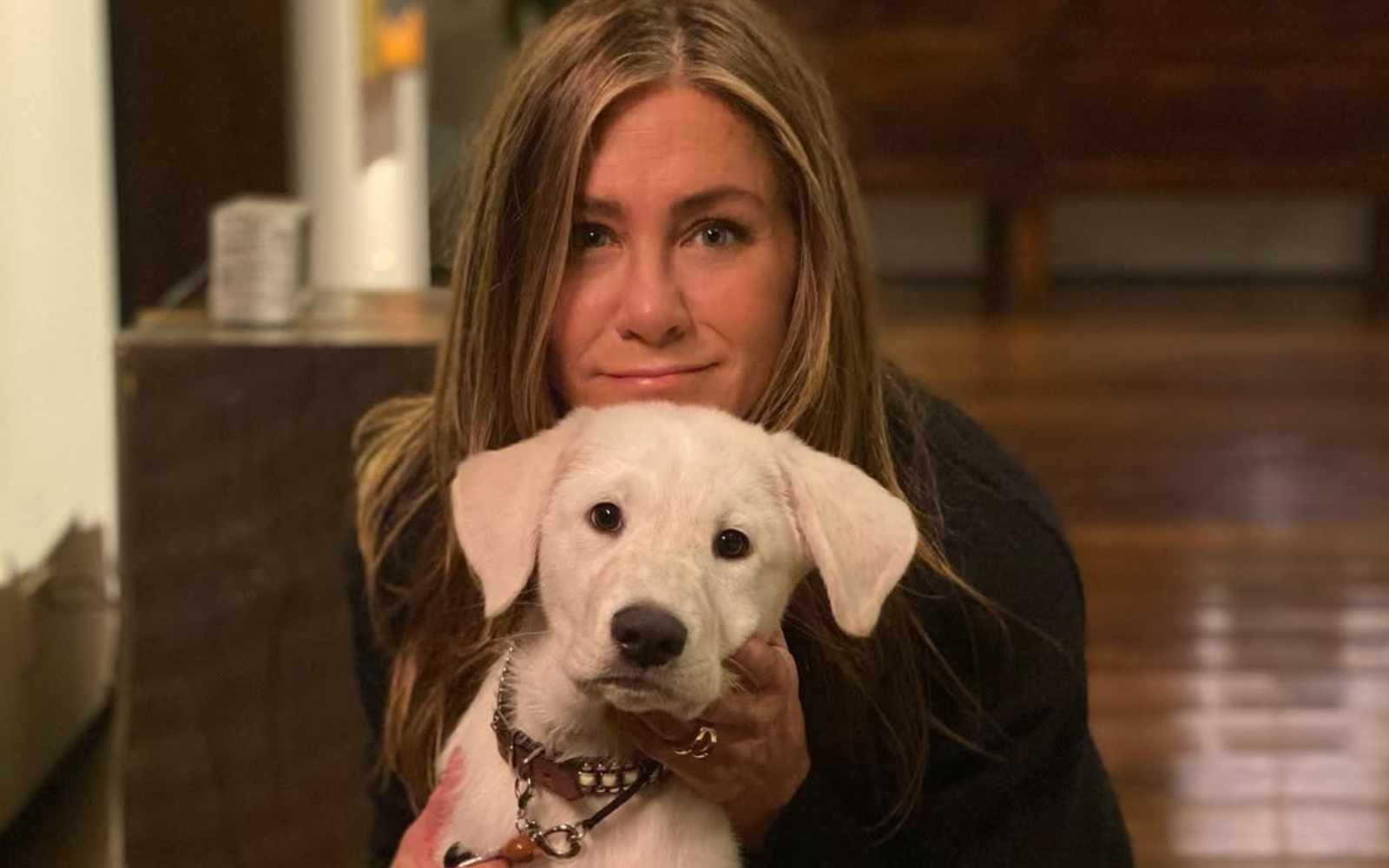 Kako priljubljena igralka pomaga živalim v stiski