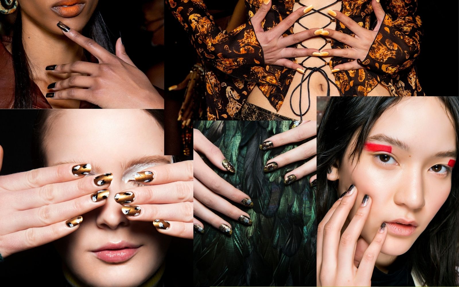 “Raaawr” nohti za letošnje praznike