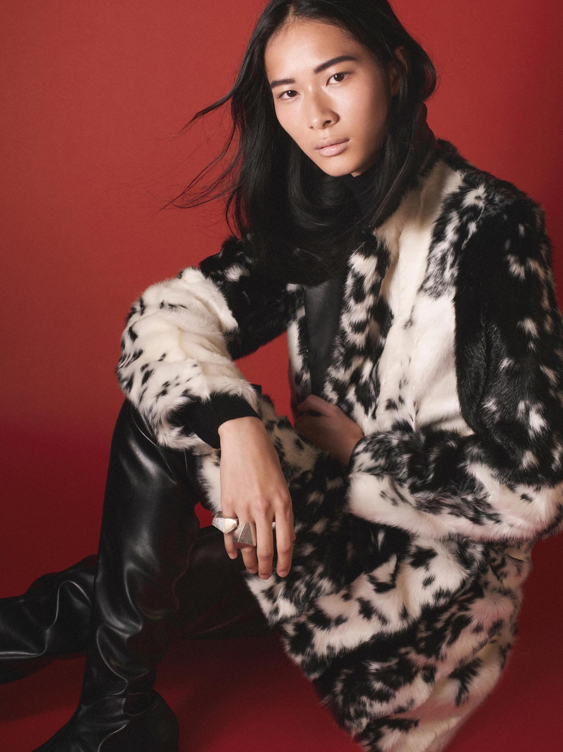 plašč s kravjim potiskom Zara