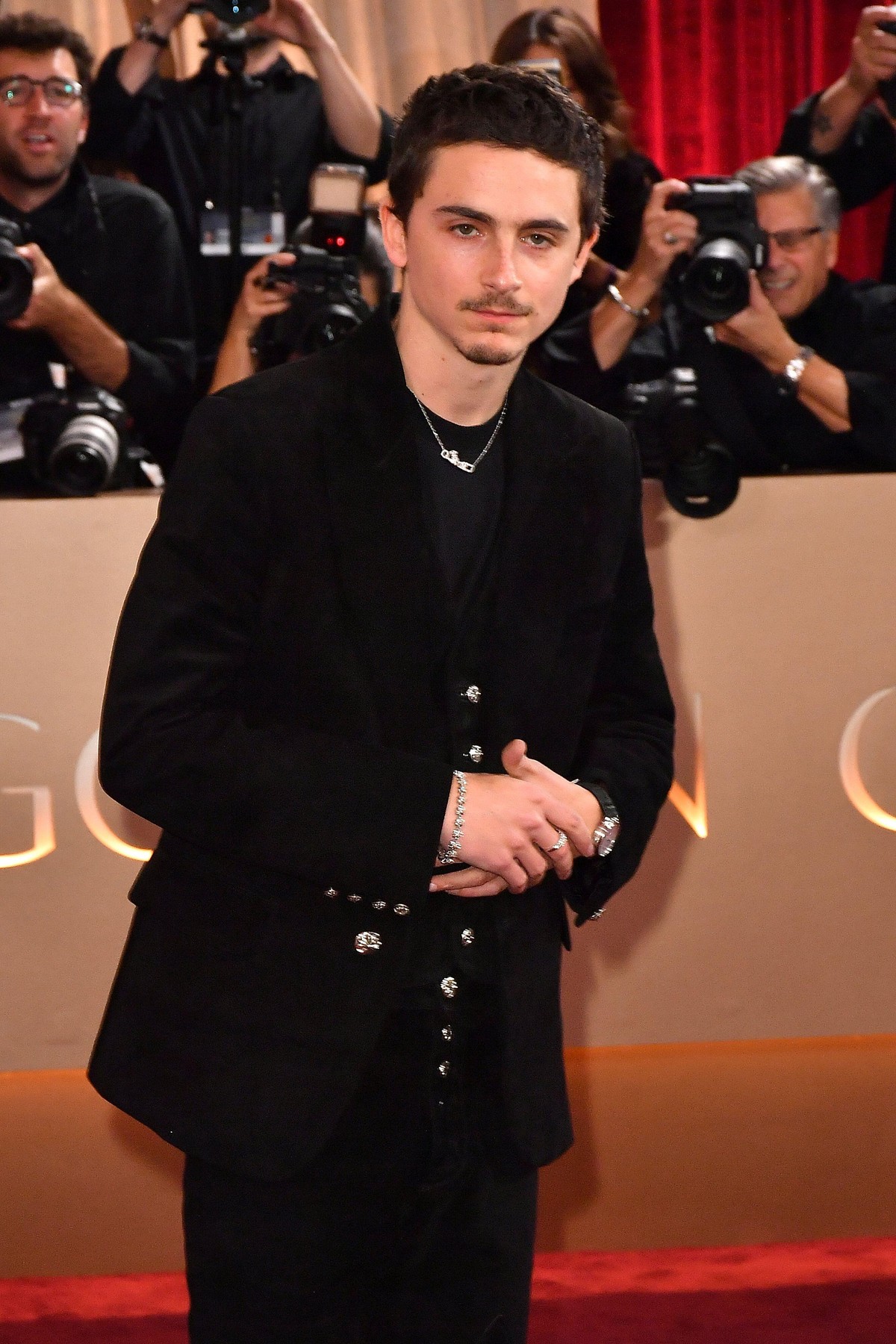 Timothée Chalamet na rdeči preprogi