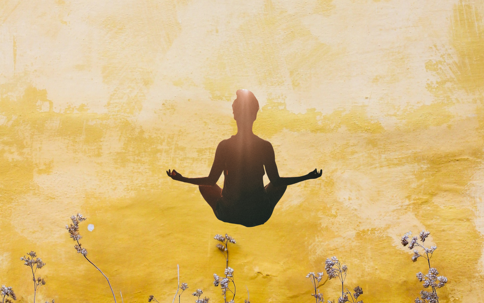 Lifestyle trendi, ki jih bomo letos videli povsod