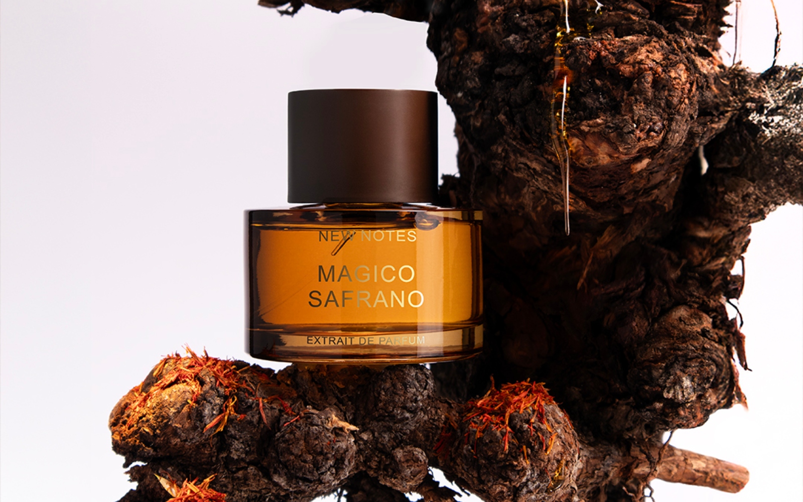 Orientalska dišava, ki je ne le vonjamo, ampak čutimo