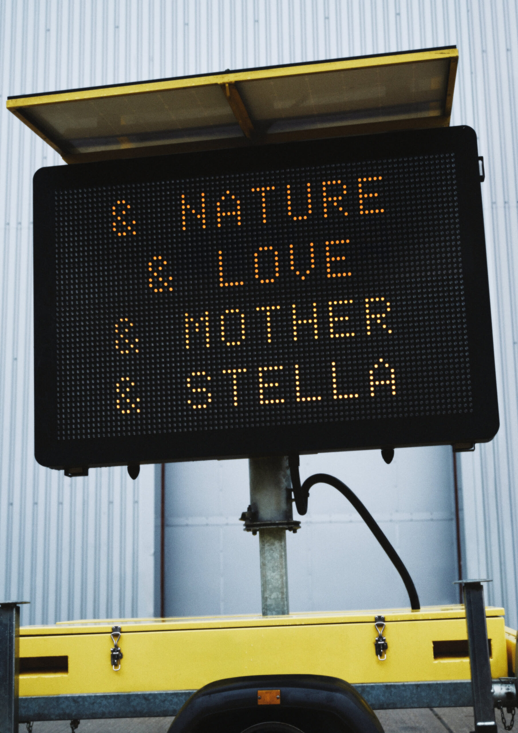 Stella McCartney H&M