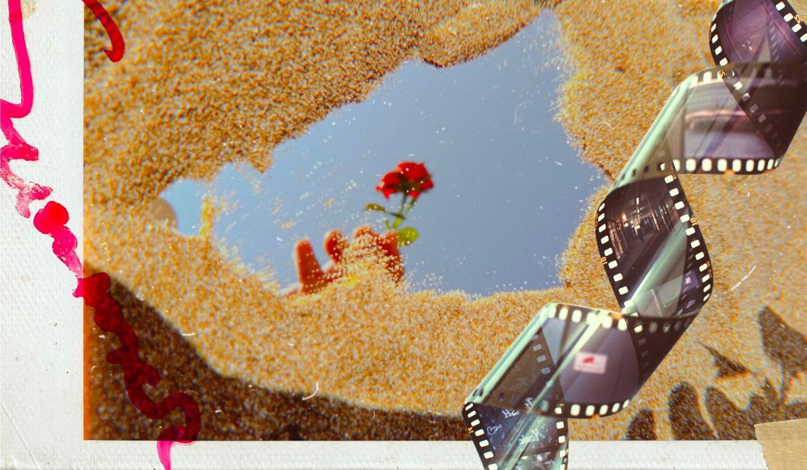 12 vročih filmskih klasik, ki si jih morate ponovno ogledati to poletje