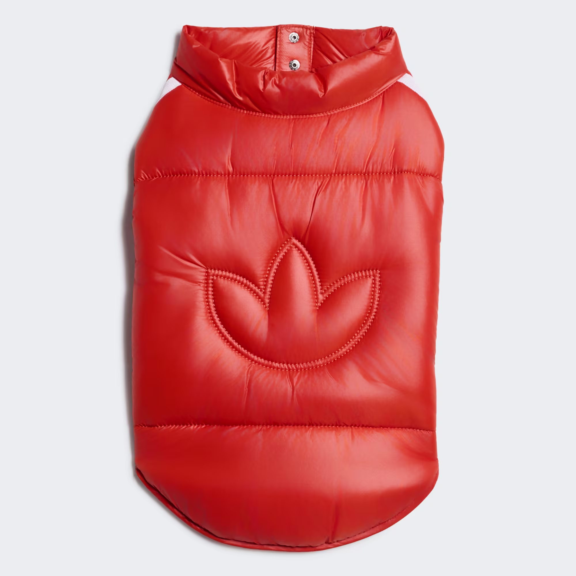 Adidas za živali
